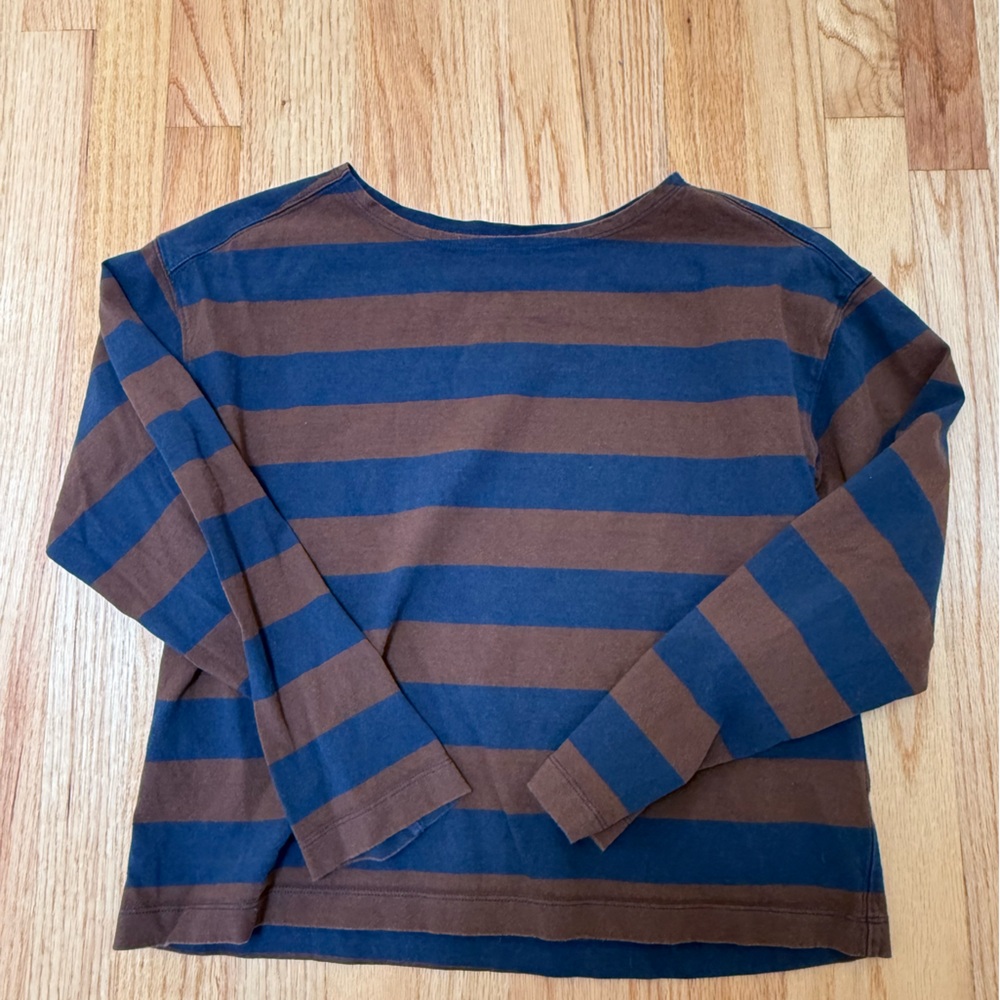 Everlane Blue and Brown Striped Top